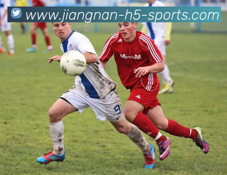 江南体育全站App